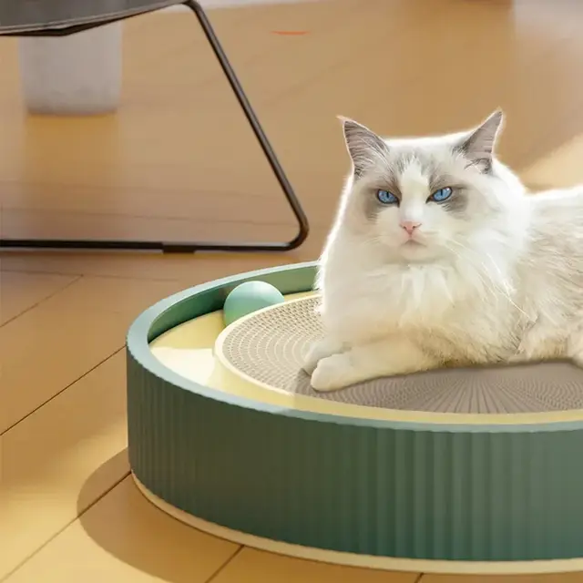 Cat Scratching Pad Toy with Rolling Ball Track