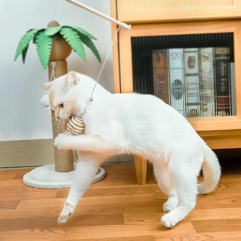 Interactive Cat Teaser Toy