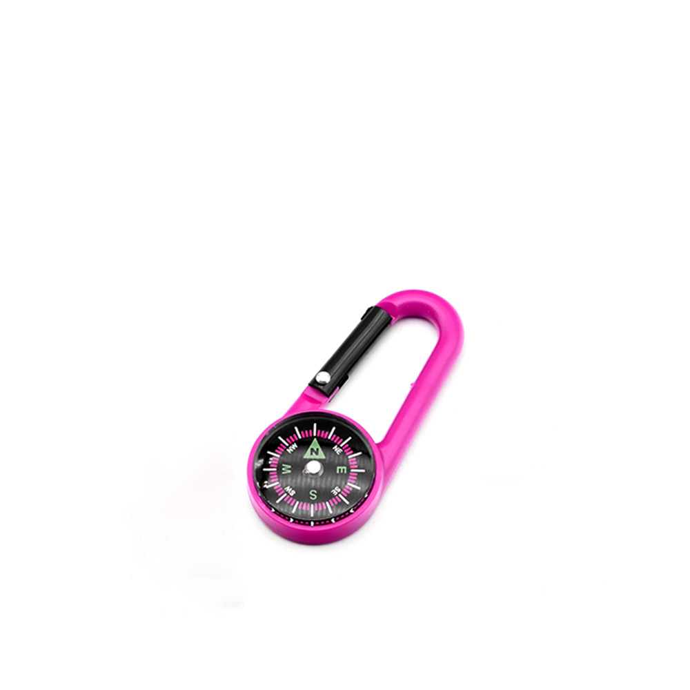 Carabiner Compass Keychain