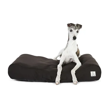 Dark Brown Dog Lounger with Curved Shape: Ideal for Small & Medium Canines