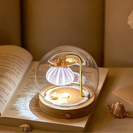 Handcrafted Sea Urchin Shell Lamp – Coastal Glass Dome Night Light with Bamboo Base & Rechargeable Warm LED